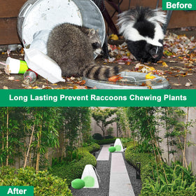 Crobirware peppermint lemongrass ball scent near kitchen helps deter pests.