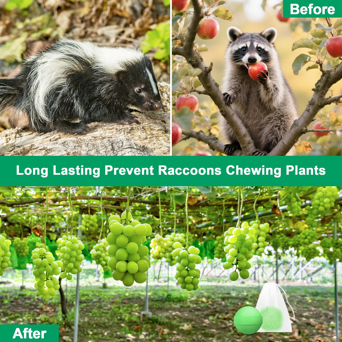 Crobirware Peppermint Skunk Repellent ball deterring skunks on patio