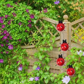 Cruis Cuka garden gifts add whimsy to any yard, perfect for gifting.