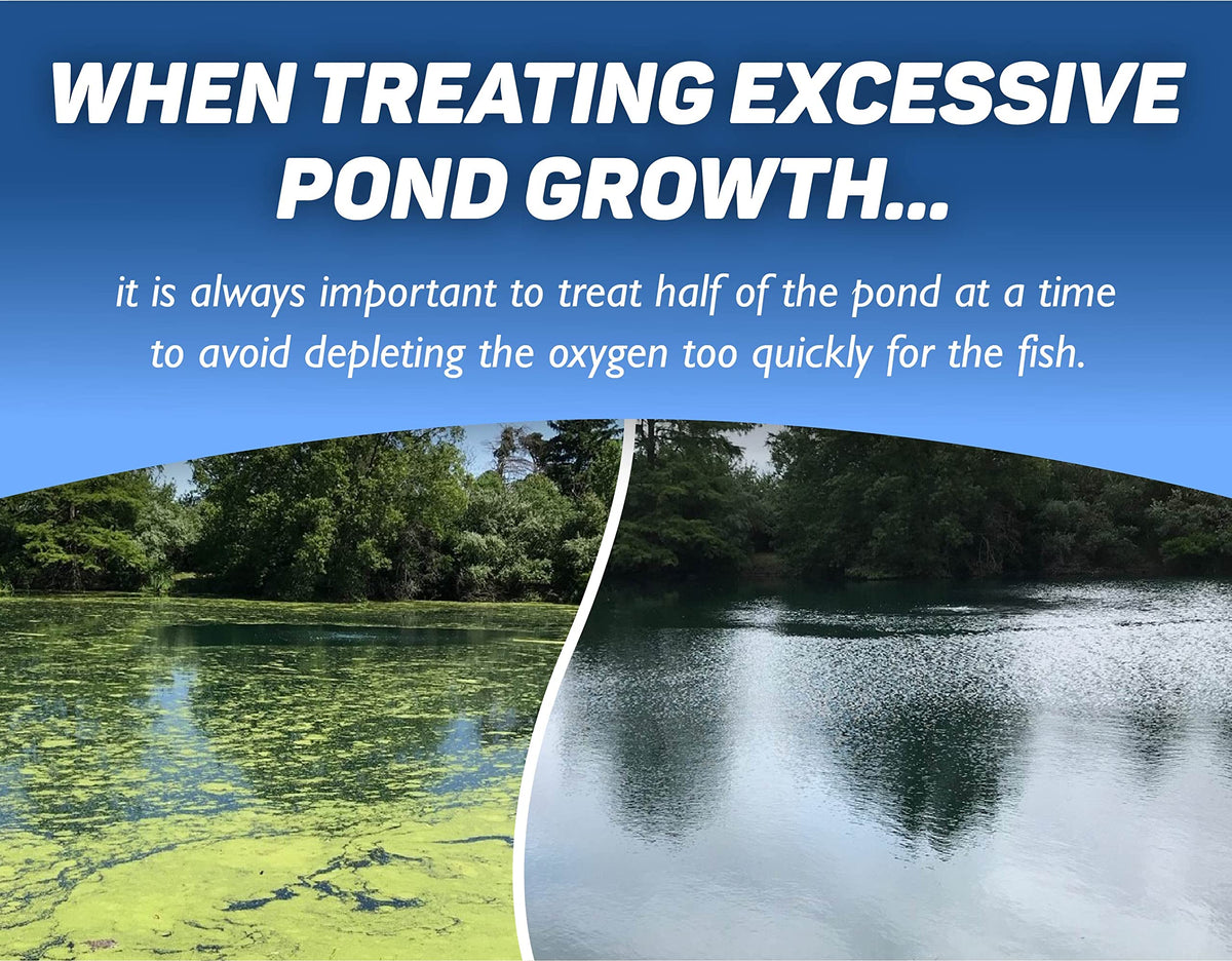 Crystal Blue application on dense algae mats shows concentrated control action.