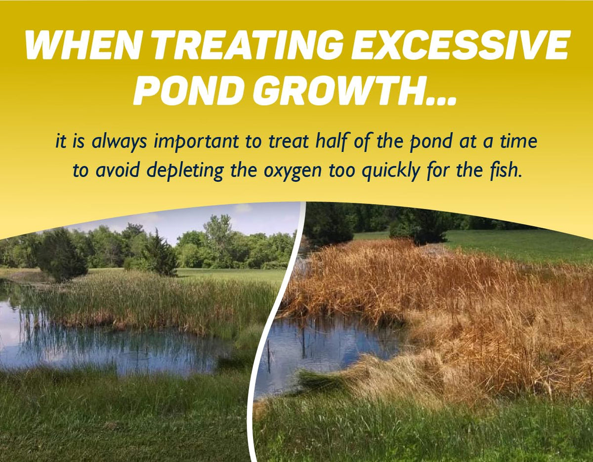 Crystal Blue CattPlex Pro cattails control highlights restoration of aquatic balance.