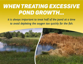 Crystal Blue CattPlex Pro cattails control highlights restoration of aquatic balance.