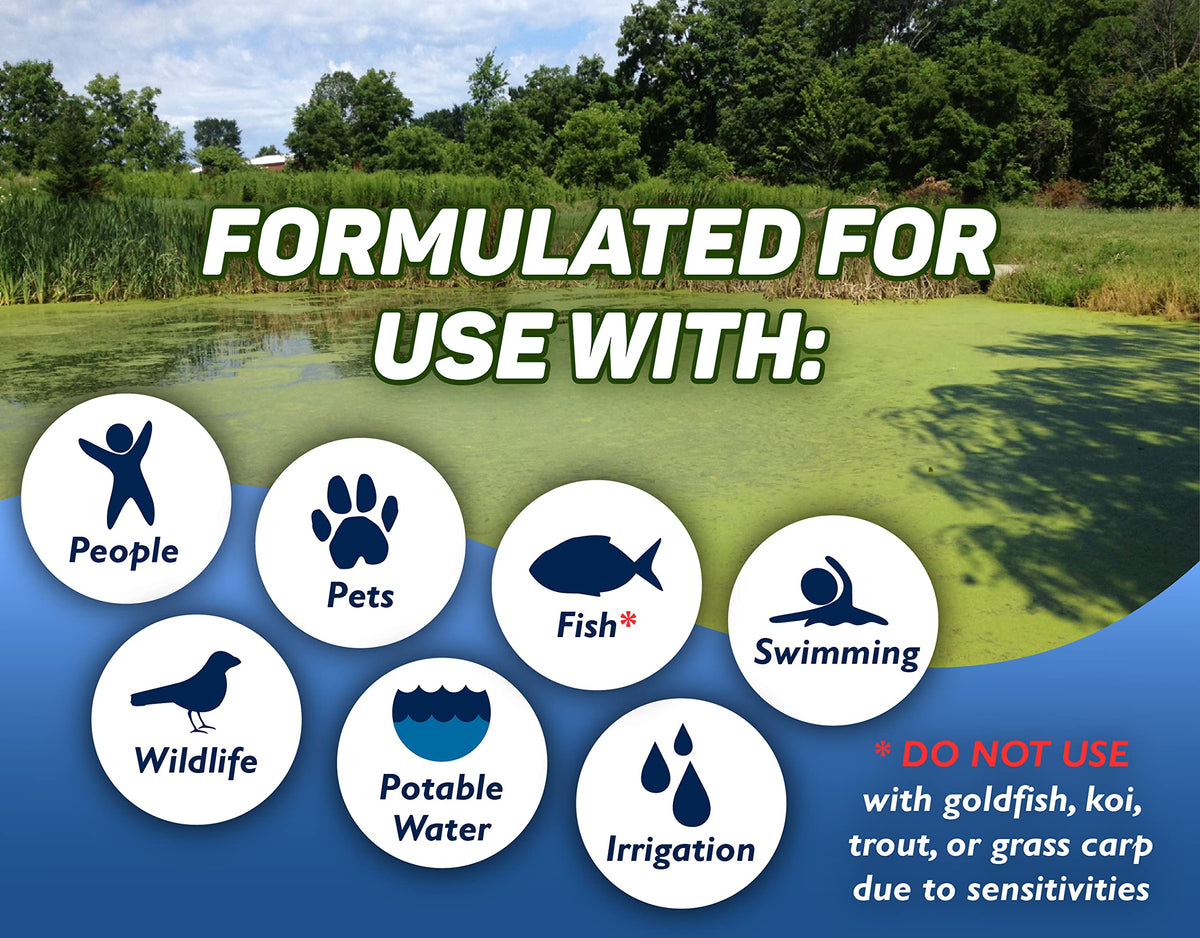 Crystal Blue used in large water bodies such as lakes and ponds.