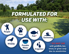 Crystal Blue used in large water bodies such as lakes and ponds.
