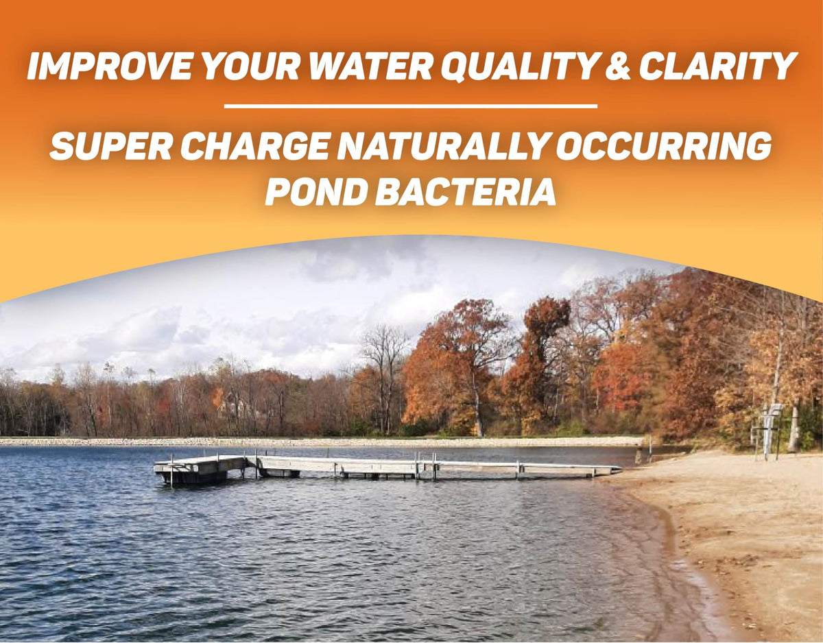Crystal Blue Pond Booster blue dye swirling in pond water for color