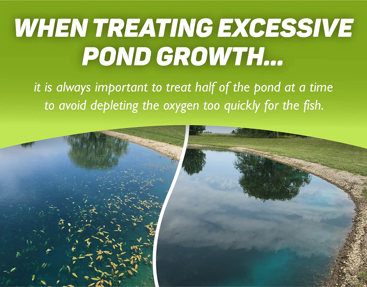 Crystal Blue Tsunami DQ manages curly leaf pondweed for better water clarity