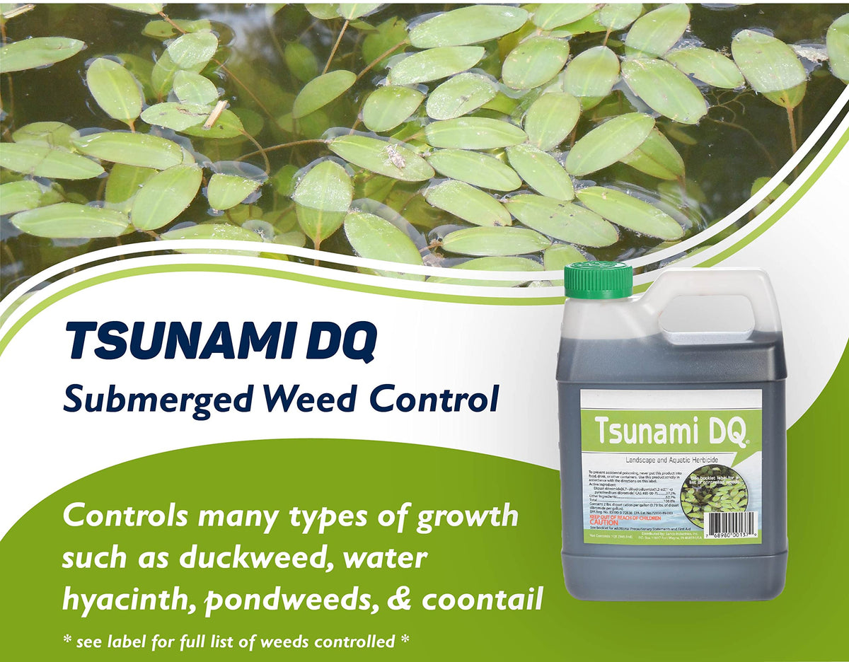 Crystal Blue Tsunami DQ controls watermeal for clearer lake surfaces