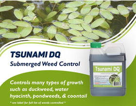 Crystal Blue Tsunami DQ controls watermeal for clearer lake surfaces