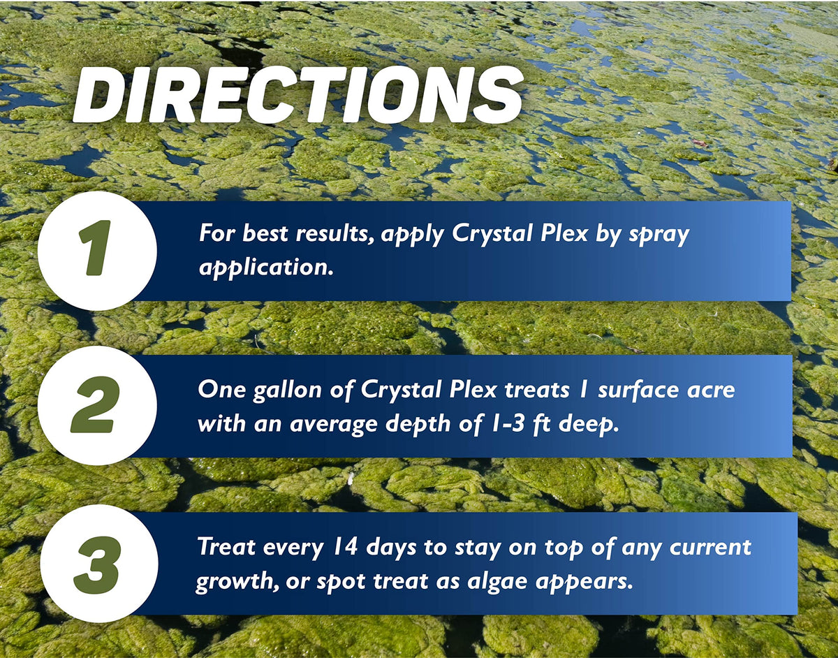 Crystal Plex algae spots guide indicating early treatment opportunities