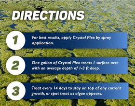 Crystal Plex algae spots guide indicating early treatment opportunities