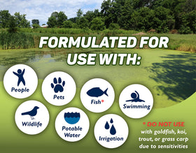 Crystal Plex dosage chart for precise pond treatment planning