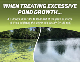 Crystal Plex applied to pond water for algae management