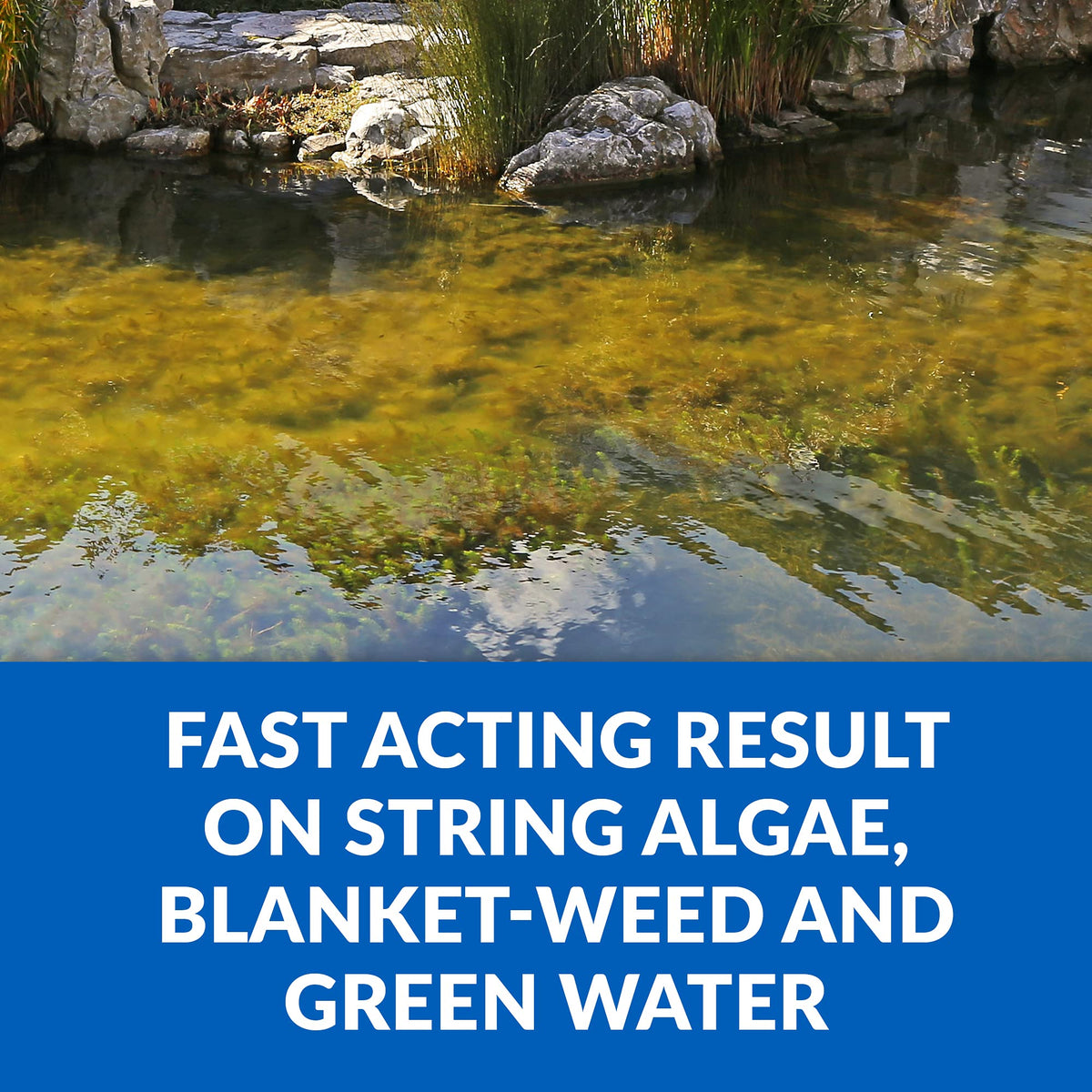 CrystalClear Algae D-Solv dosage guide demonstrates dosing per gallons
