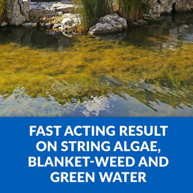 CrystalClear Algae D-Solv dosage guide demonstrates dosing per gallons