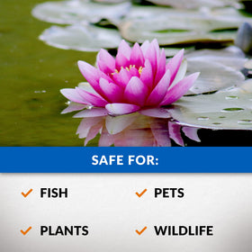 CrystalClear Algae D-Solv reduces green water for clearer ponds