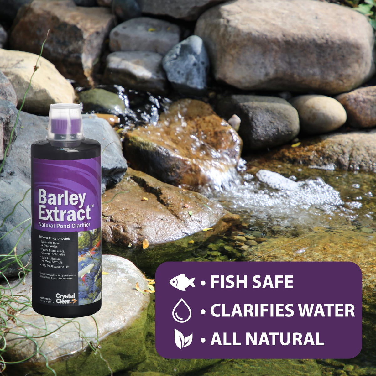 CrystalClear Barley Extract near koi pond for healthier water conditions.