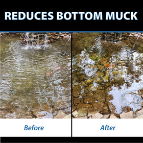 CrystalClear MuckOff is safe for fish, birds, and wildlife.