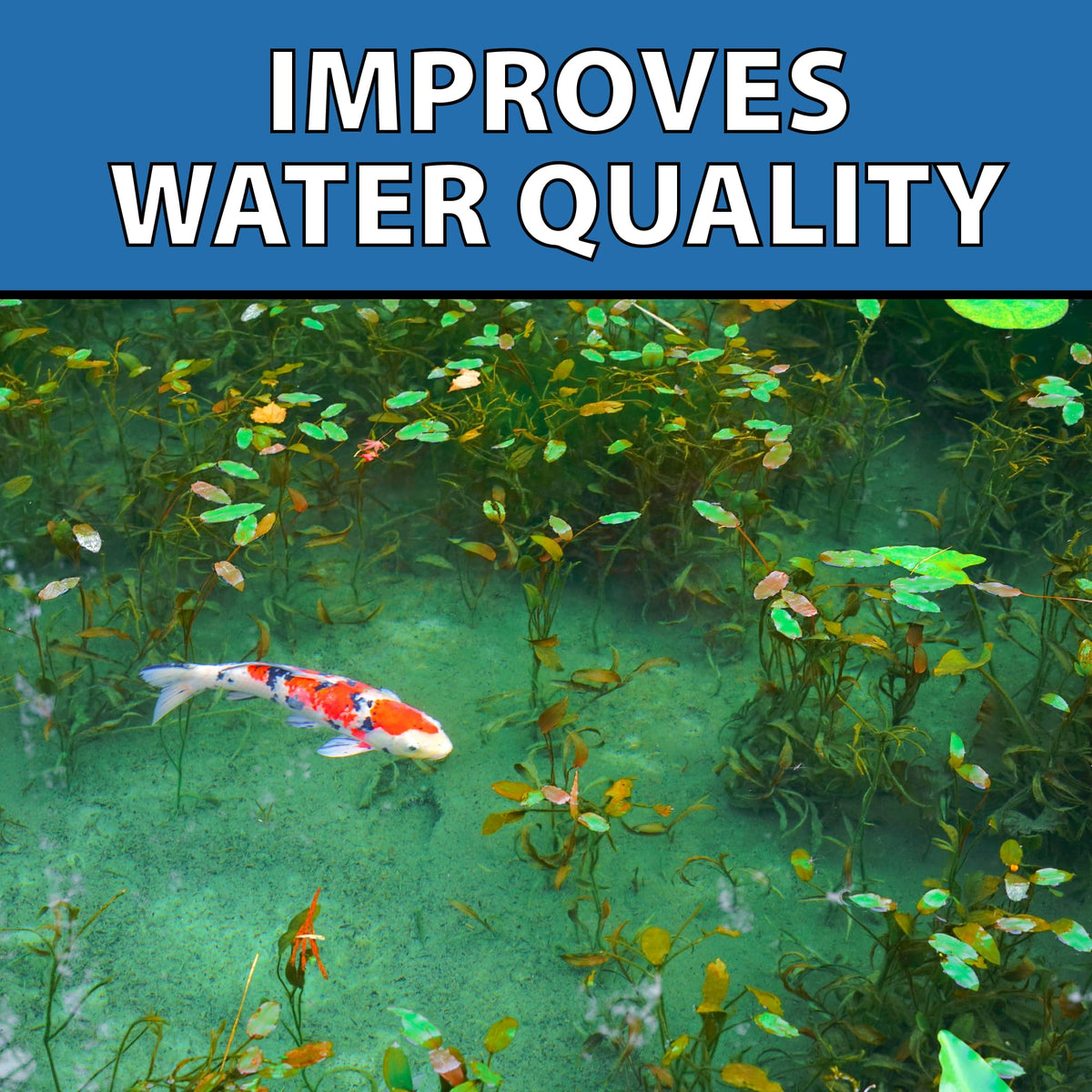 CrystalClear MuckOff supports a well-balanced pond ecosystem over time.