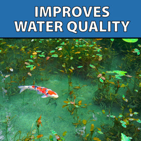 CrystalClear MuckOff supports a well-balanced pond ecosystem over time.