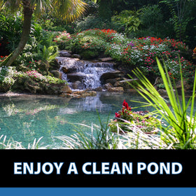 Bottom debris being broken down by CrystalClear MuckOff in a water feature