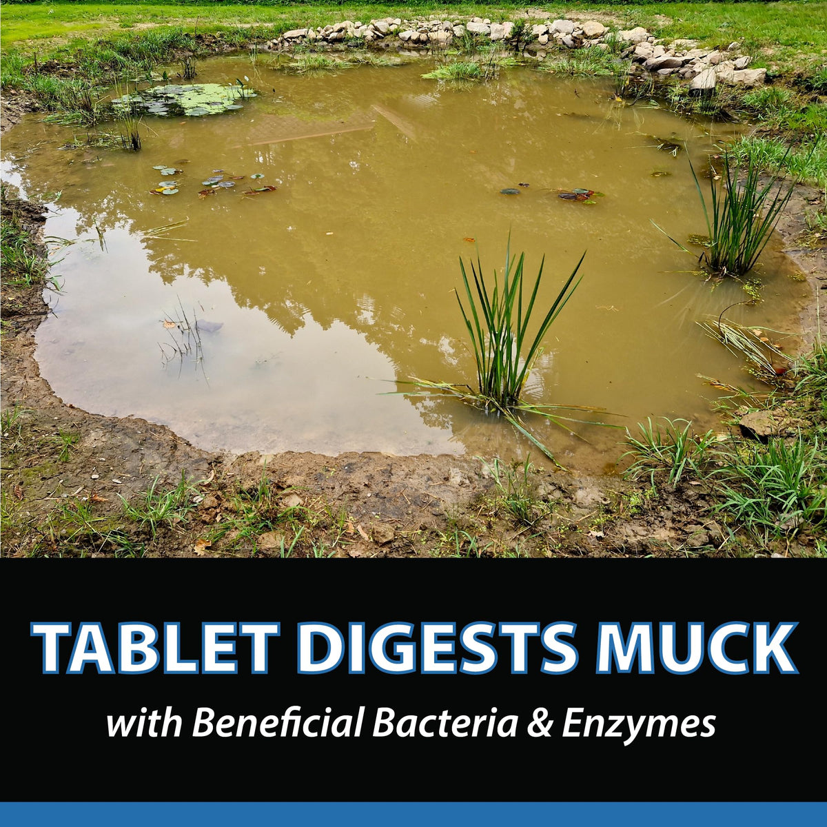 Easy toss application shown for CrystalClear MuckOff in a small pond