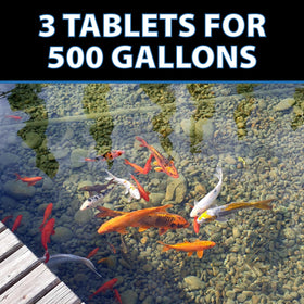 CrystalClear MuckOff improving pond water clarity after treatment