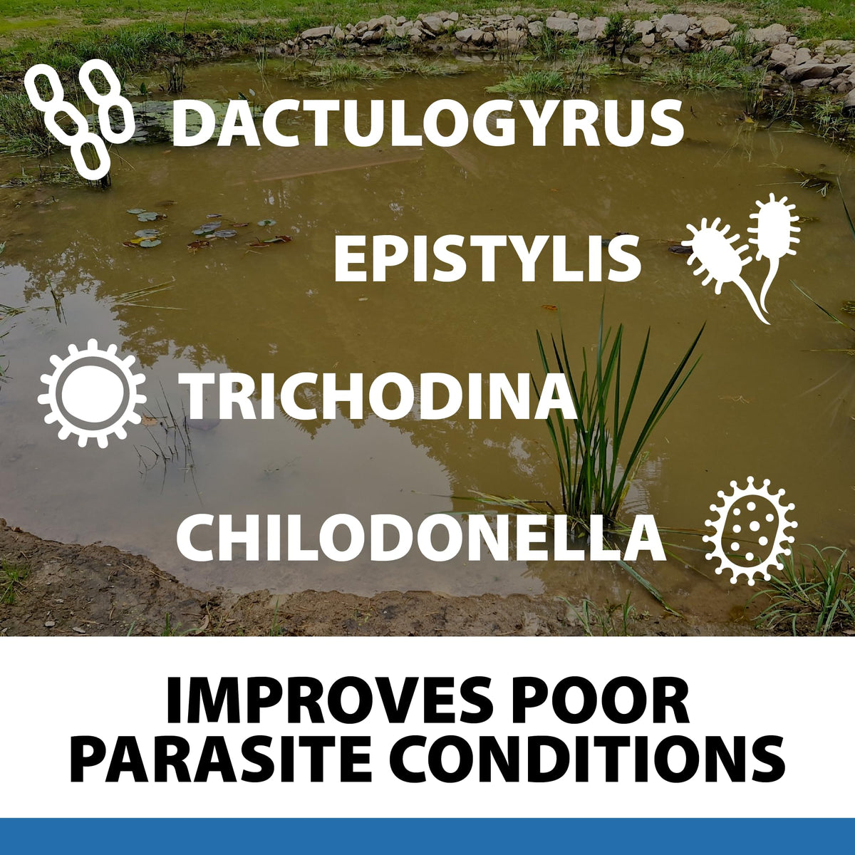 Lush water garden scene with CrystalClear ParaSalt for health