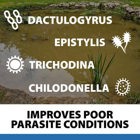 Lush water garden scene with CrystalClear ParaSalt for health