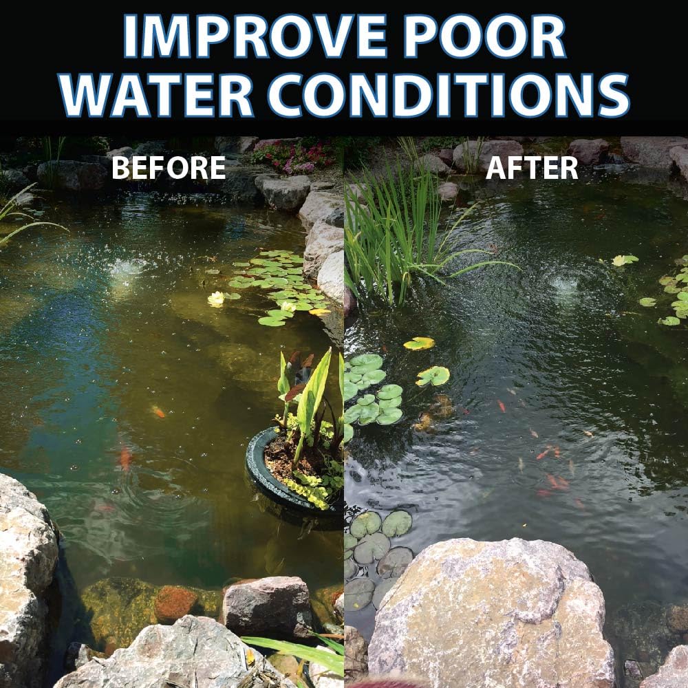 Small freshwater pond after treatment shows clearer water with PondShock Ball.