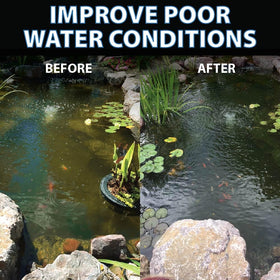 Small freshwater pond after treatment shows clearer water with PondShock Ball.