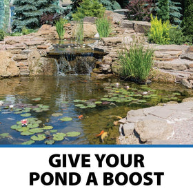 Biological filter close-up with PondShock Ball indicates beneficial bacteria activity.