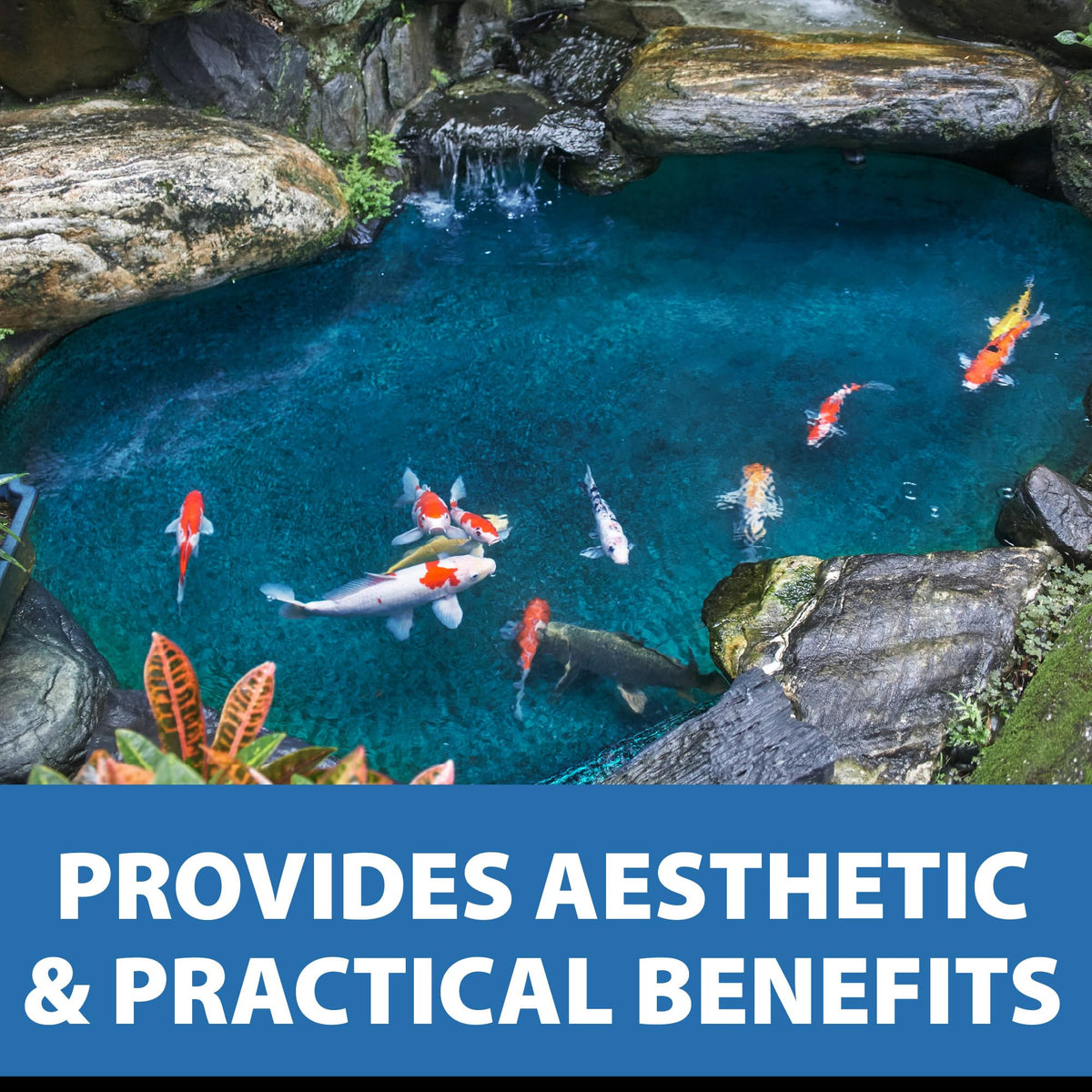 CrystalClear PondTint works with other pond products for cohesive results