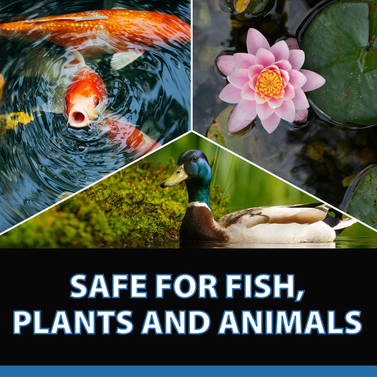 CrystalClear RapiClear liquid formula bottle designed for year-round pond maintenance.