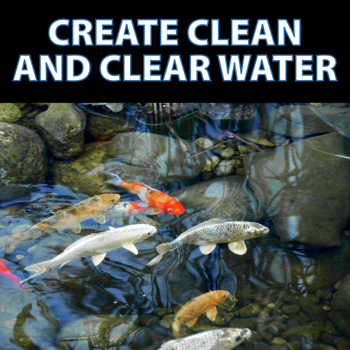 CrystalClear RapiClear routine-maintenance water looks clearer over time.