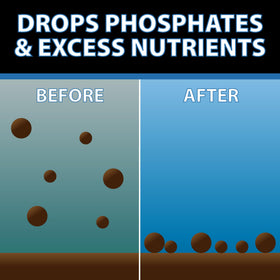 CrystalClear RapiClear during a storm-disturbance capture shows rapid clarification after water movement.