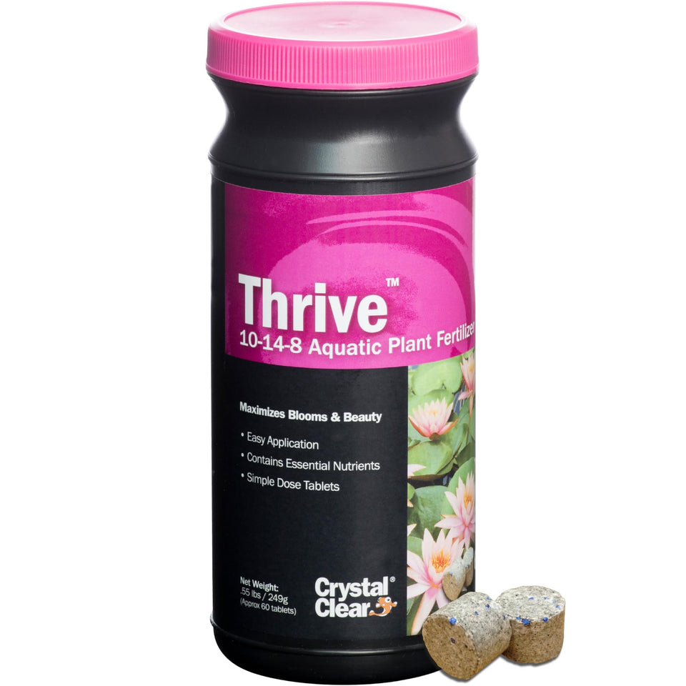CrystalClear Thrive pond plant food tablet enriching aquatic plants for vibrant leaves