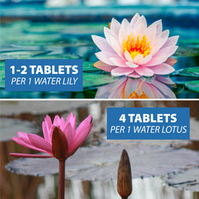 CrystalClear Thrive lotus growth tablet supporting strong lotus development