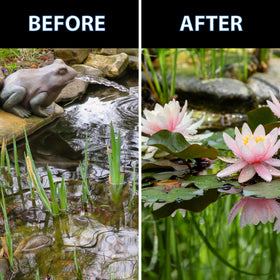 CrystalClear Thrive pond plants nourished with easy-to-use fertilizer tablets