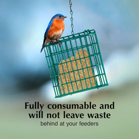 C&S Mealworm Delight attracts bluebirds, cardinals and other birds with rich ingredients.