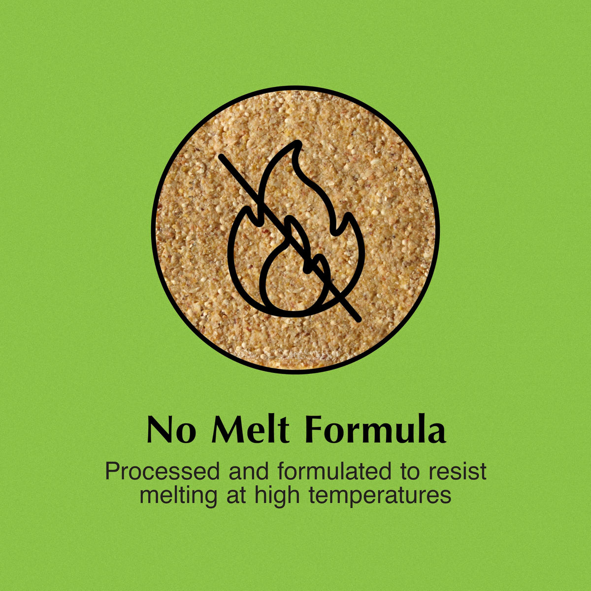 C&S Mealworm Delight supports year-round feeding with no mess and steady energy.