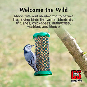 Nuggets on a platform feeder deliver mess-free, year-round energy for birds.