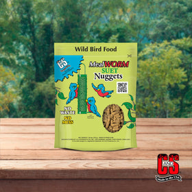 Birds flocking to C&S suet nuggets in a traditional feeder.