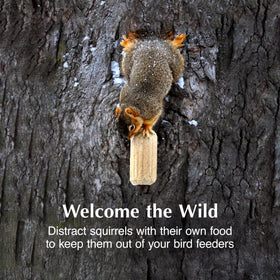 C&S Nut’n Sweet Corn Squirrelog in backyard feeder illustrates year-round wildlife attraction