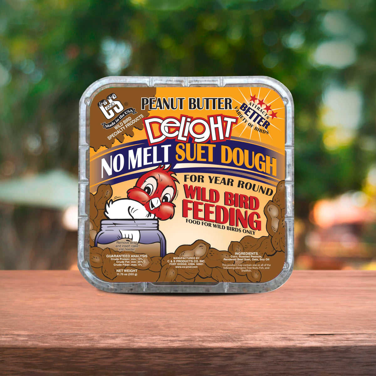 C&S Peanut Butter Delight No Melt Suet Dough jay feeding scene at feeder