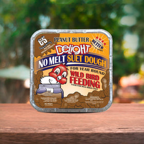 C&S Peanut Butter Delight No Melt Suet Dough jay feeding scene at feeder