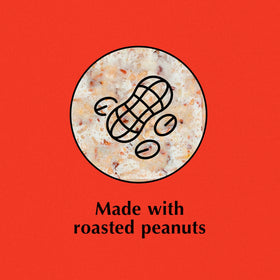 C&S Peanut Suet Treat made in the USA.