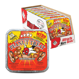C&S Peanut Suet Treat pack-8 on a feeder attracting nuthatches and chickadees.