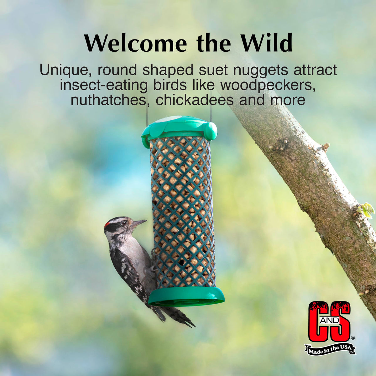 C&S Woodpecker Suet Nuggets for year-round feeding in your garden.