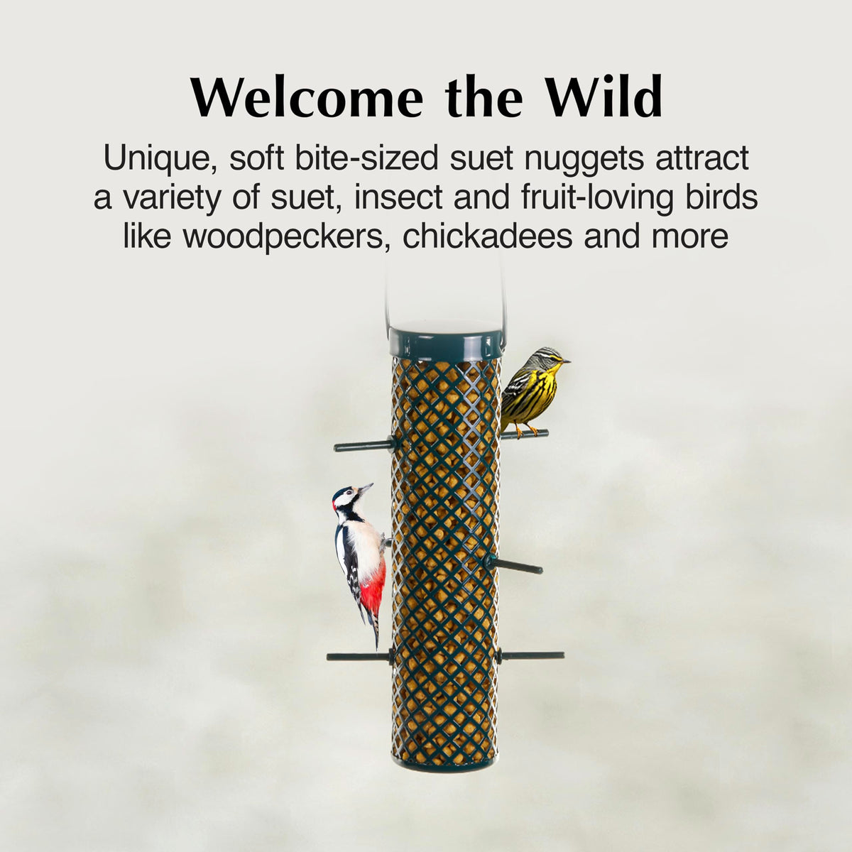 Chickadees sample C&S Sunflower Suet Nuggets for a quick energy boost in cold mornings.