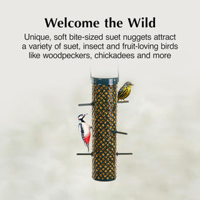 Chickadees sample C&S Sunflower Suet Nuggets for a quick energy boost in cold mornings.